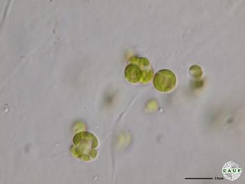 H6504_2.JPG