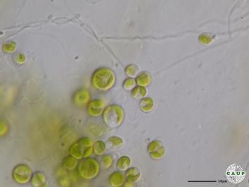 H6504_3.JPG