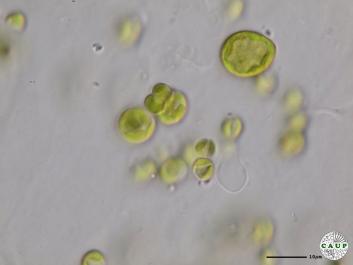 H6504_4.JPG