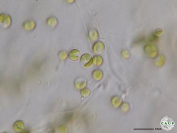 H6504_5.JPG