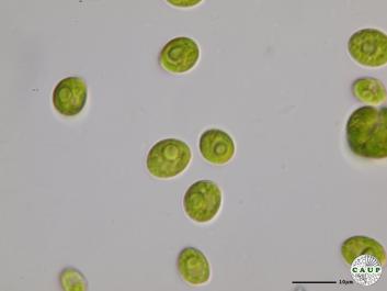 H6601_10.JPG