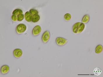 H6601_11.JPG