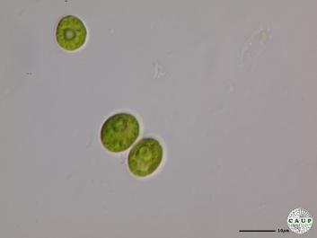 H6601_6.JPG
