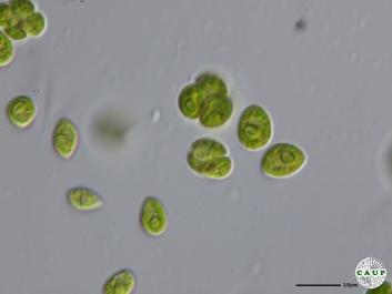 H6601_7.JPG