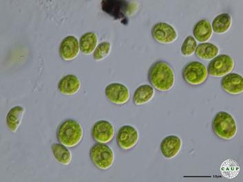 H6601_8.JPG