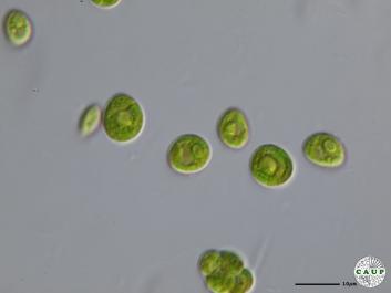 H6601_9.JPG