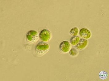 H6701_2.JPG