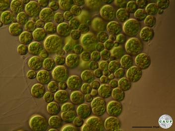 H6901a.JPG