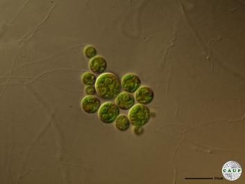 H6901b.JPG