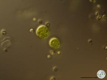 H6901c.JPG