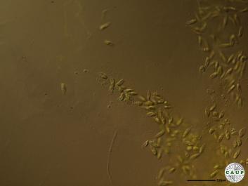 H6902a.JPG