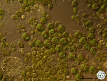 H6904b.JPG