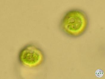 H7102_2.JPG