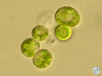 H7102_3.JPG