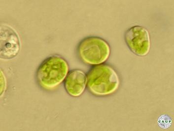H7102_4.JPG