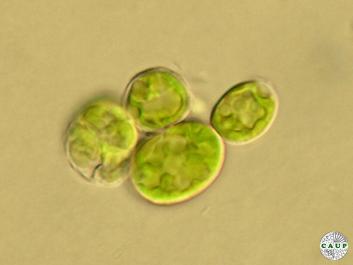 H7102_5.JPG