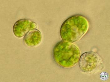 H7102_6.JPG