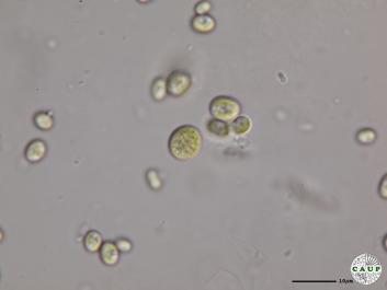 H7103_1.JPG