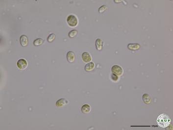 H7103_3.JPG