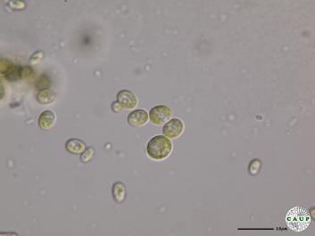 H7103_4.JPG