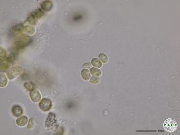 H7103_5.JPG
