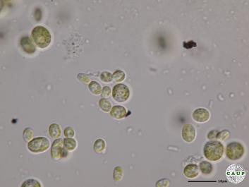 H7103_6.JPG