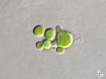 H7301_3.JPG