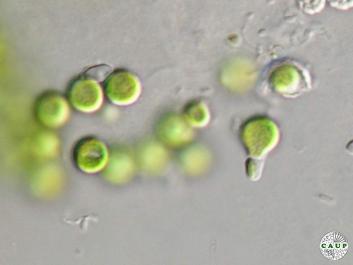 H7301_4.JPG