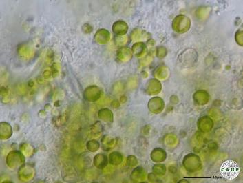 H7301_6.JPG