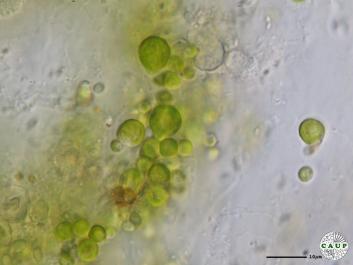 H7301_7.JPG