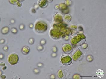 H7401_1.JPG