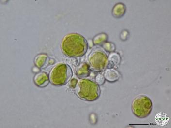 H7401_2.JPG