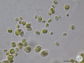 H7401_3.JPG