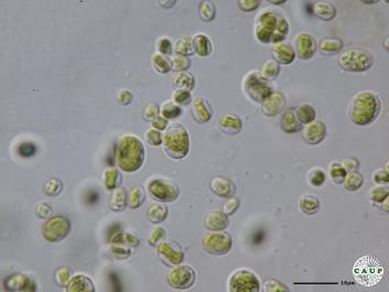 H7401_4.JPG