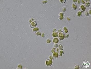 H7401_5.JPG