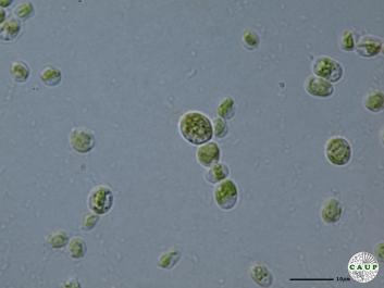 H7401_6.JPG