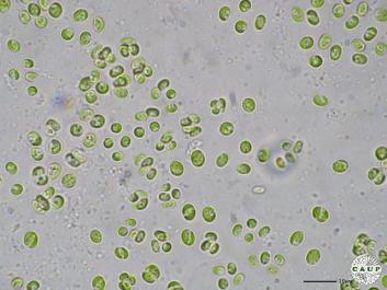 H7501_4.JPG