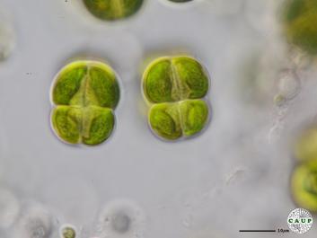 H7601_1.JPG