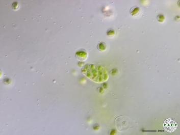 H7801aa.JPG