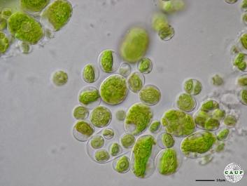 H7801d.JPG