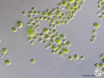 H7801f.JPG