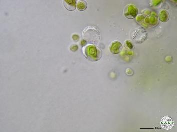 H7801g.JPG