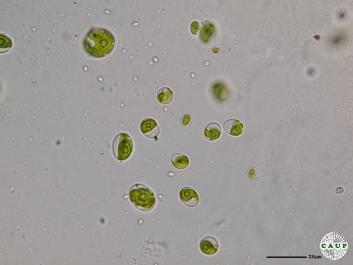 H7802b.JPG