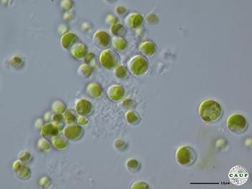 H7901_5.JPG
