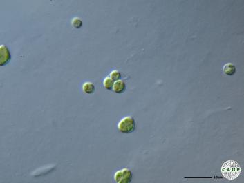 H8101e.JPG