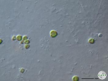 H8102c.JPG