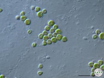 H8102d.JPG