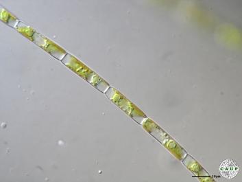 J0603_1.JPG