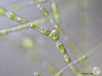 J0603_2.JPG