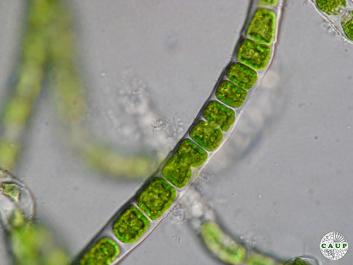 J0902_1.JPG